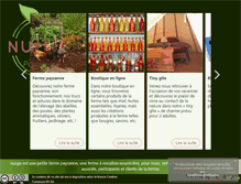 Tablet Screenshot of nusgo.com